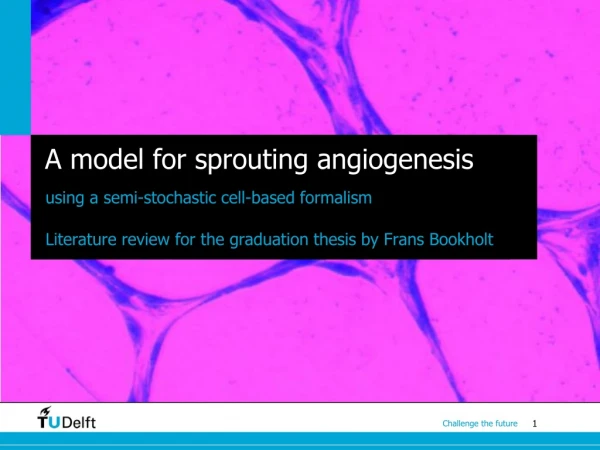 A model for sprouting angiogenesis