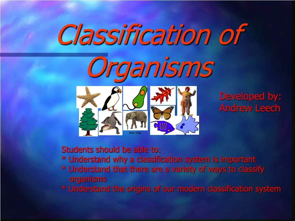 classification of organisms