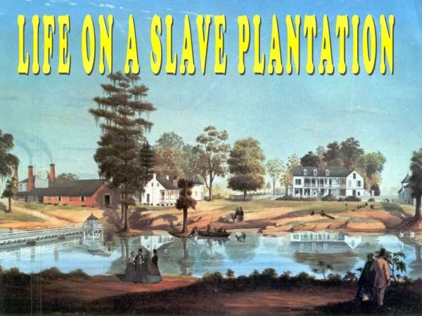 LIFE ON A SLAVE PLANTATION