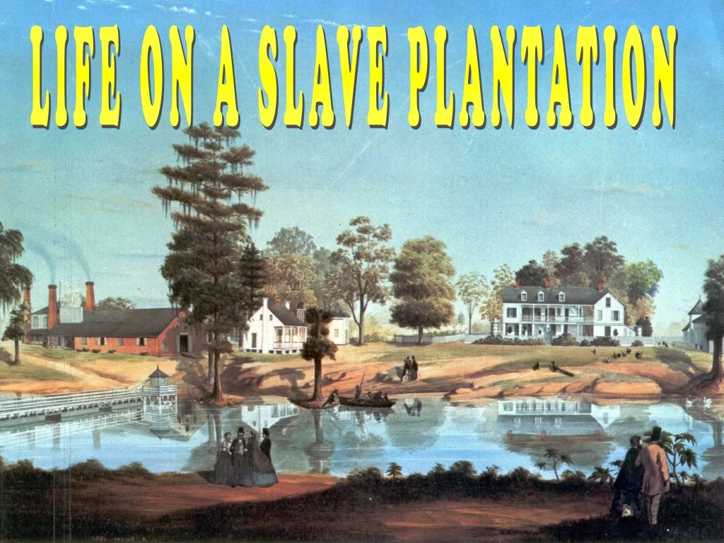 life on a slave plantation