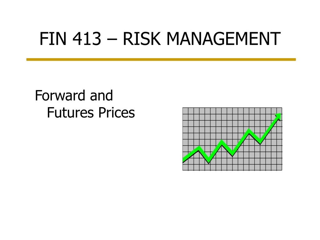 fin 413 risk management