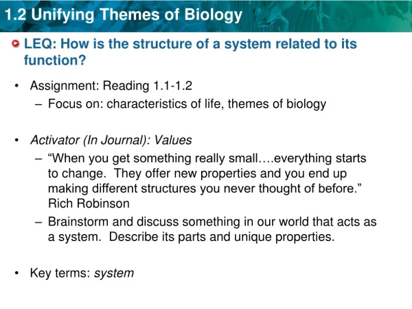 LEQ: How is the structure of a system related to its function?