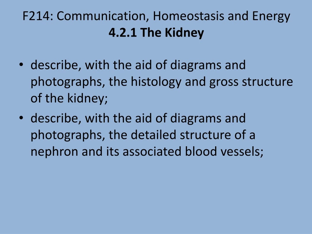 f214 communication homeostasis and energy 4 2 1 the kidney