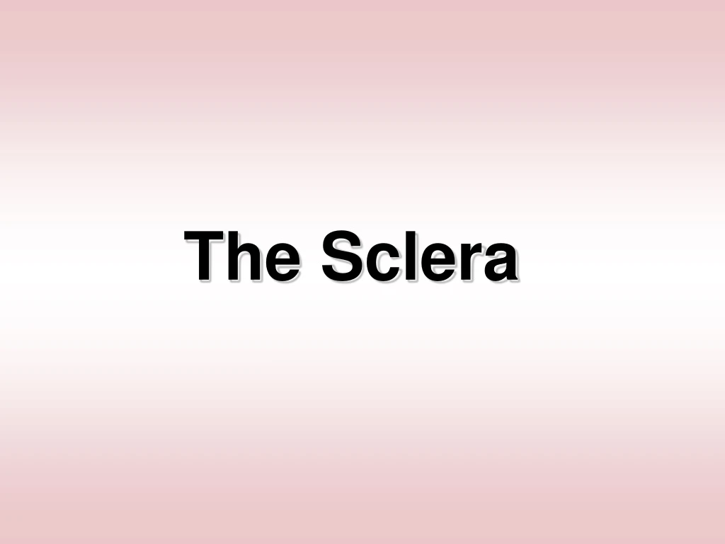 the sclera