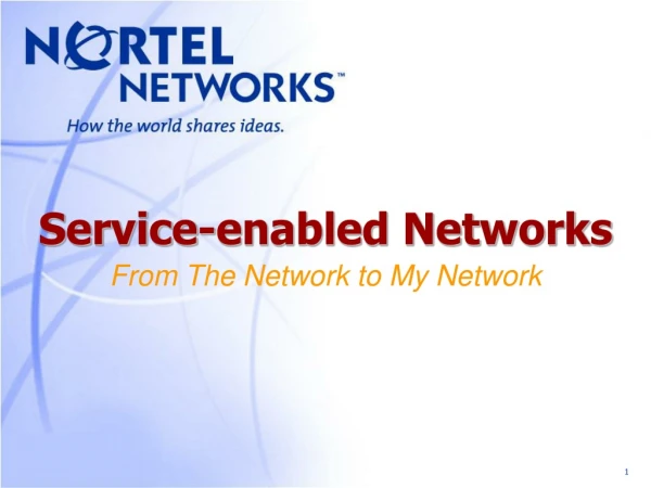 Service-enabled Networks From The Network to My Network