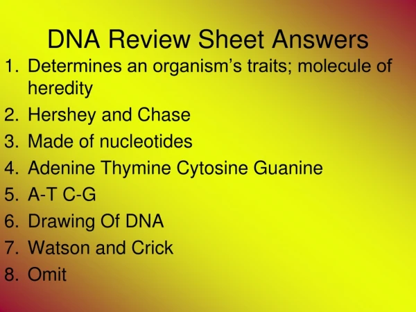 DNA Review Sheet Answers