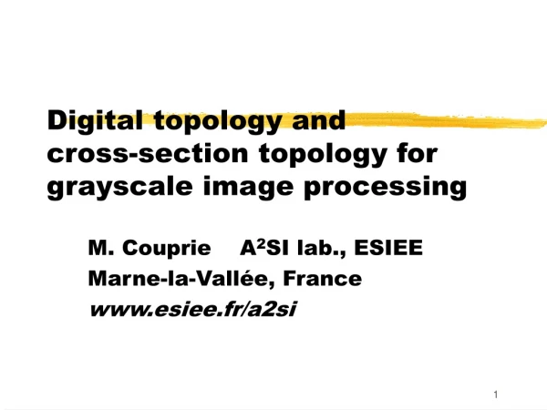 Digital topology and cross-section topology for  grayscale  image processing