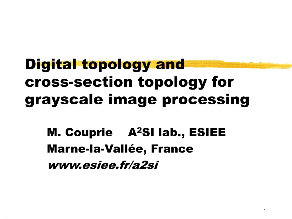 digital topology and cross section topology for grayscale image processing