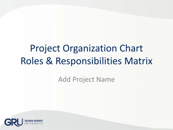 Project Organization Chart Roles &amp; Responsibilities Matrix