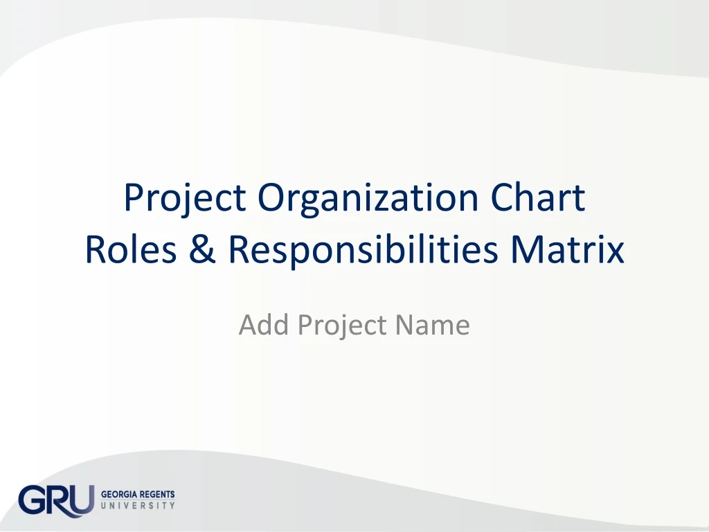 project organization chart roles responsibilities matrix