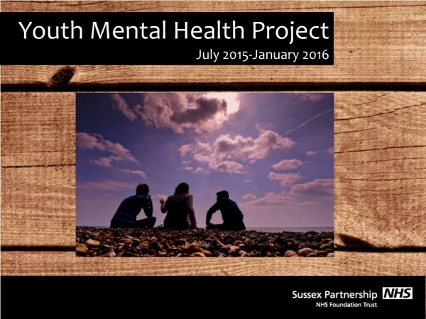 Youth Mental Health  Project July 2015-January 2016