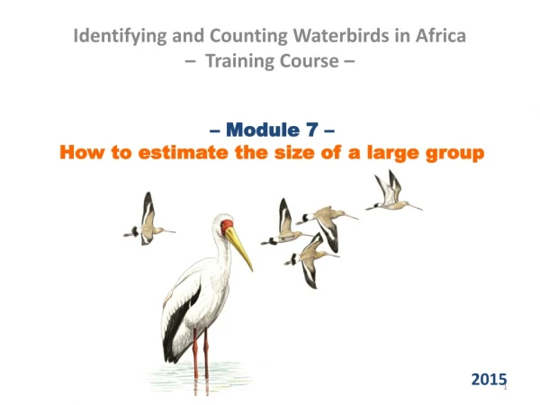 – Module 7 –  How to estimate the size of a large group