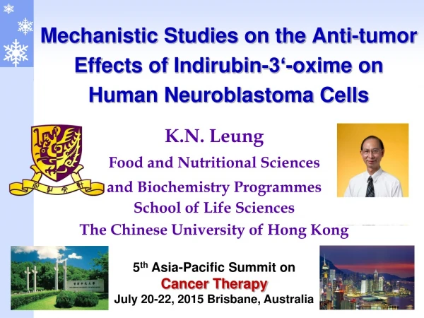 Mechanistic Studies on the  Anti-tumor Effects of Indirubin-3‘-oxime on Human Neuroblastoma Cells