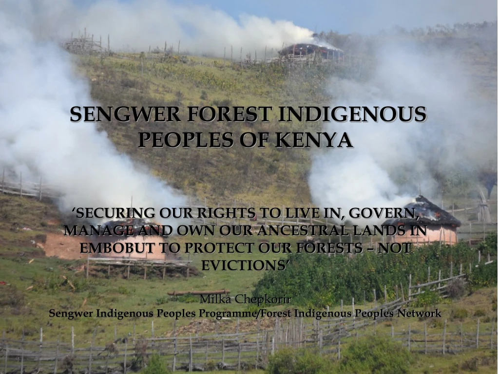 sengwer forest indigenous peoples of kenya