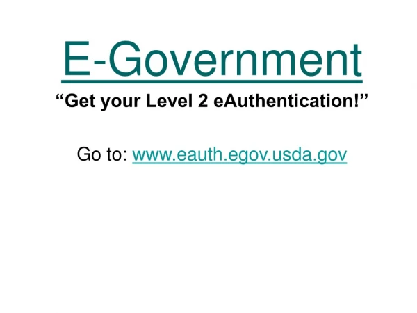 E-Government