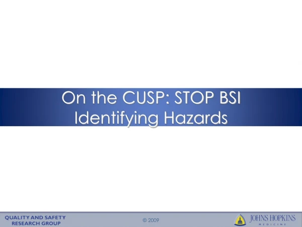 On the CUSP: STOP BSI  Identifying Hazards