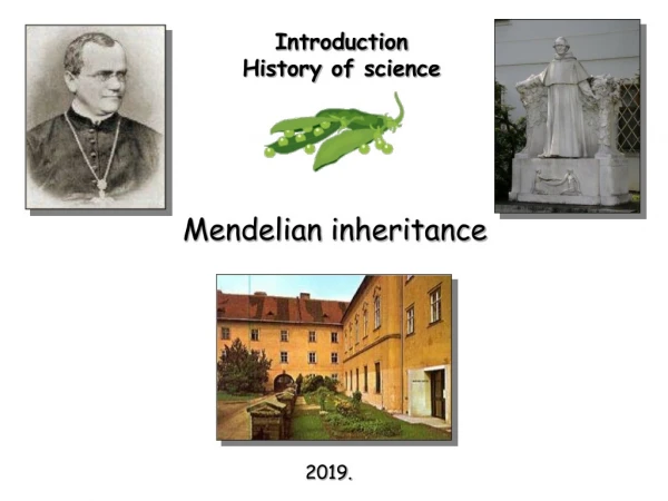 Mendelian inheritance