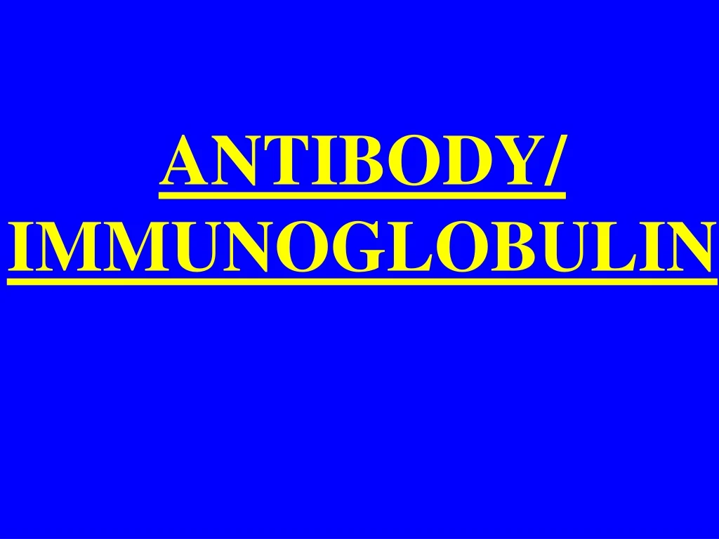 antibody immunoglobulin
