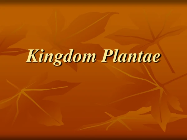 Kingdom Plantae