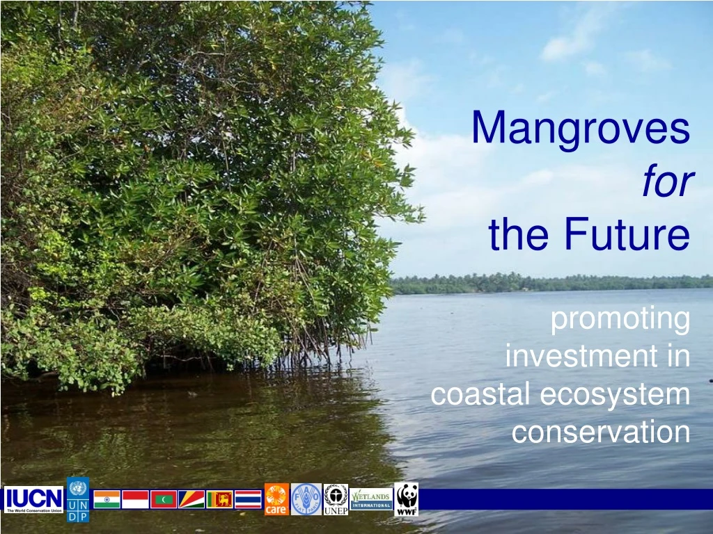 mangroves for the future promoting investment