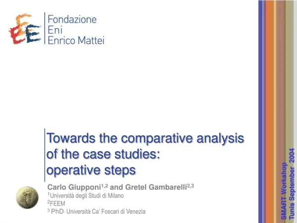 Towards the comparative analysis of the case studies:  operative steps