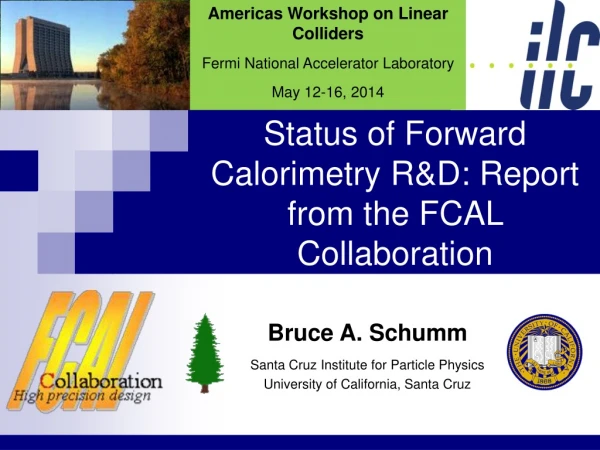 Status of Forward Calorimetry R&amp;D: Report from the FCAL Collaboration