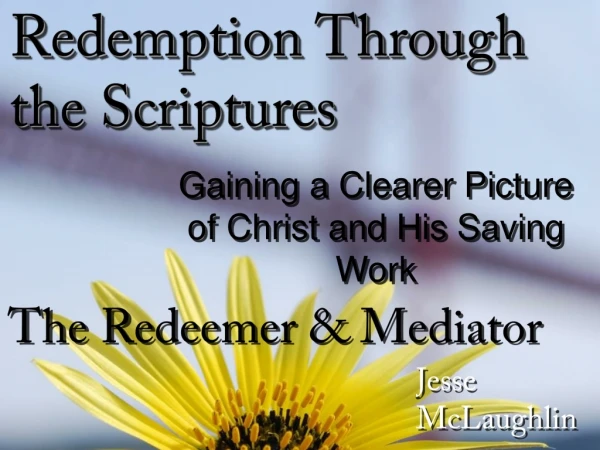 The Redeemer &amp; Mediator
