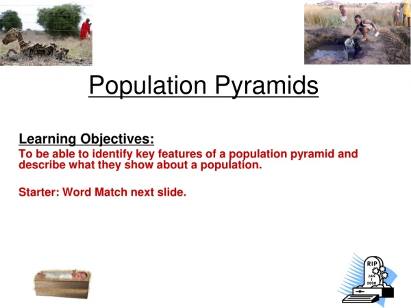 Population Pyramids