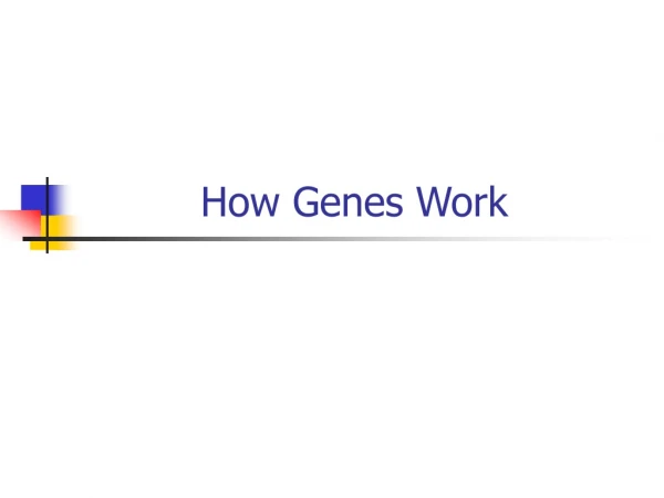 How Genes Work