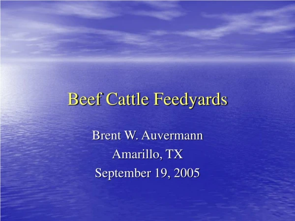 Beef Cattle Feedyards