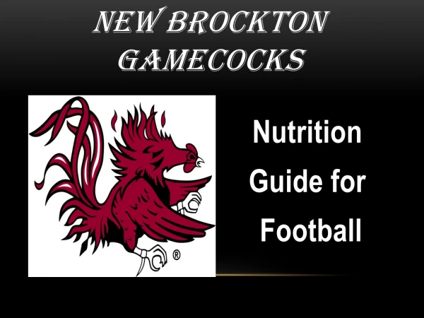 New Brockton  Gamecocks