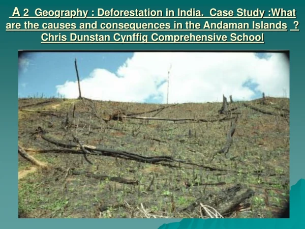 A.What has caused the deforestation in the Andaman islands?