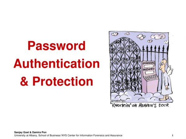 Password Authentication  &amp; Protection