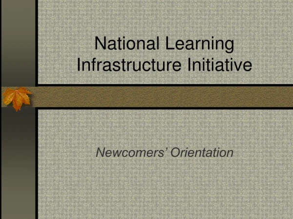 National Learning Infrastructure Initiative