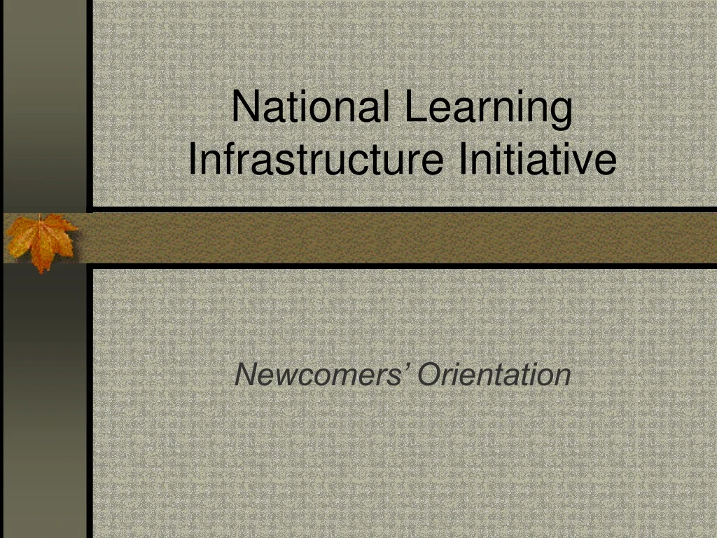 national learning infrastructure initiative