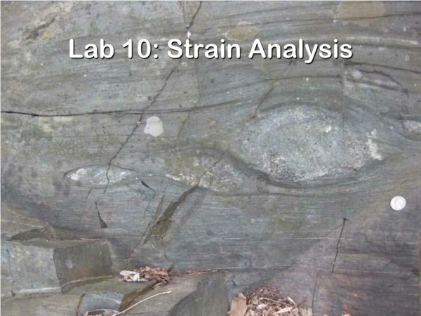 Lab 10: Strain Analysis