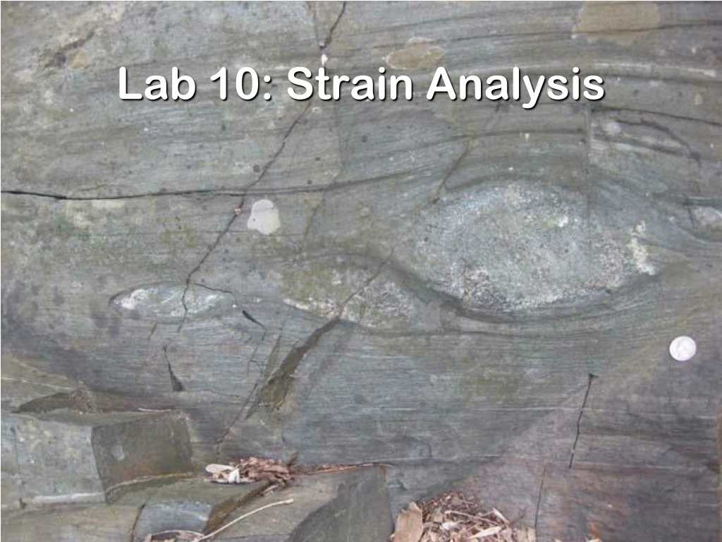 lab 10 strain analysis