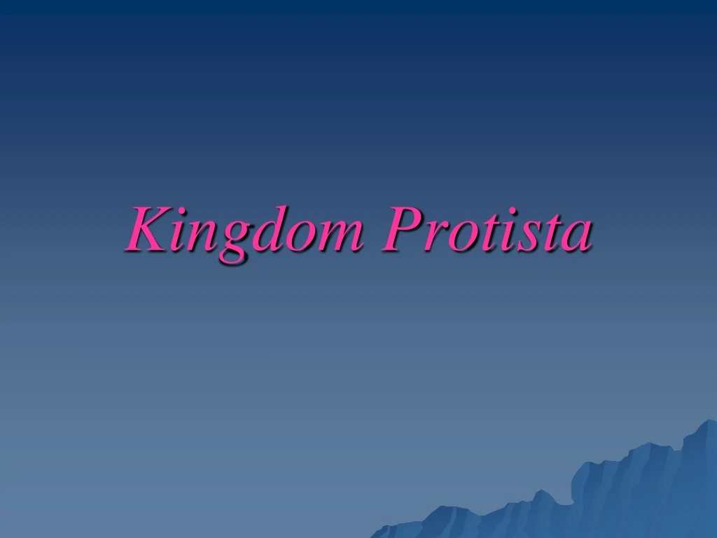 kingdom protista