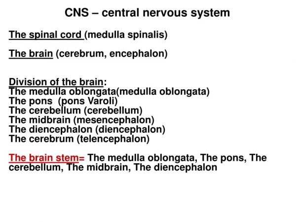 CNS – central nervous system