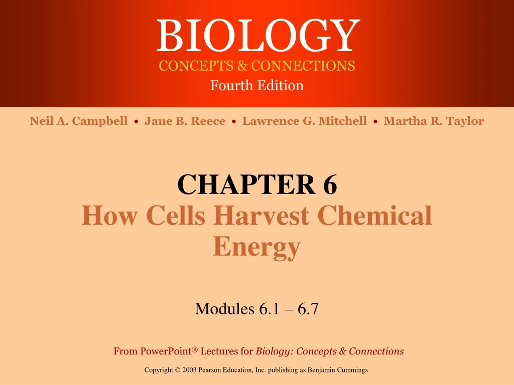 chapter 6 how cells harvest chemical energy