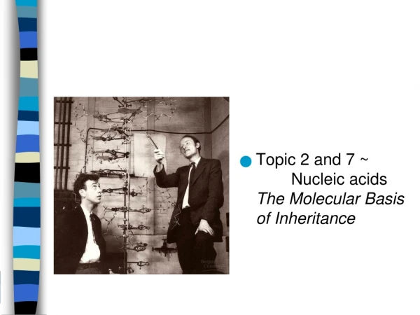 Topic 2 and 7 ~	  Nucleic acids  The Molecular Basis of Inheritance