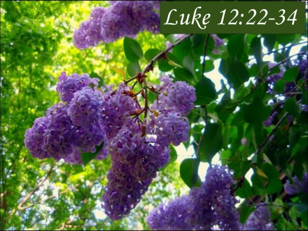 Luke 12:22-34