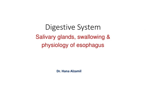 Digestive System Salivary glands, swallowing &amp; physiology of esophagus