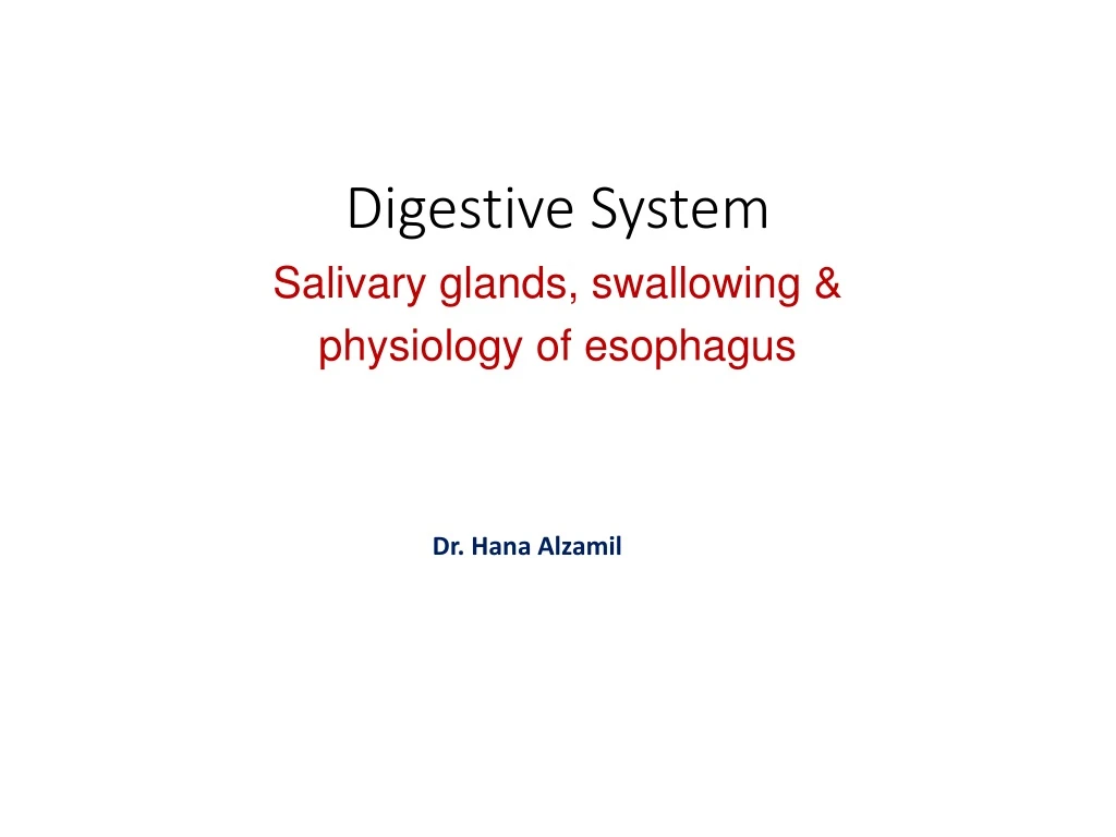 digestive system salivary glands swallowing physiology of esophagus