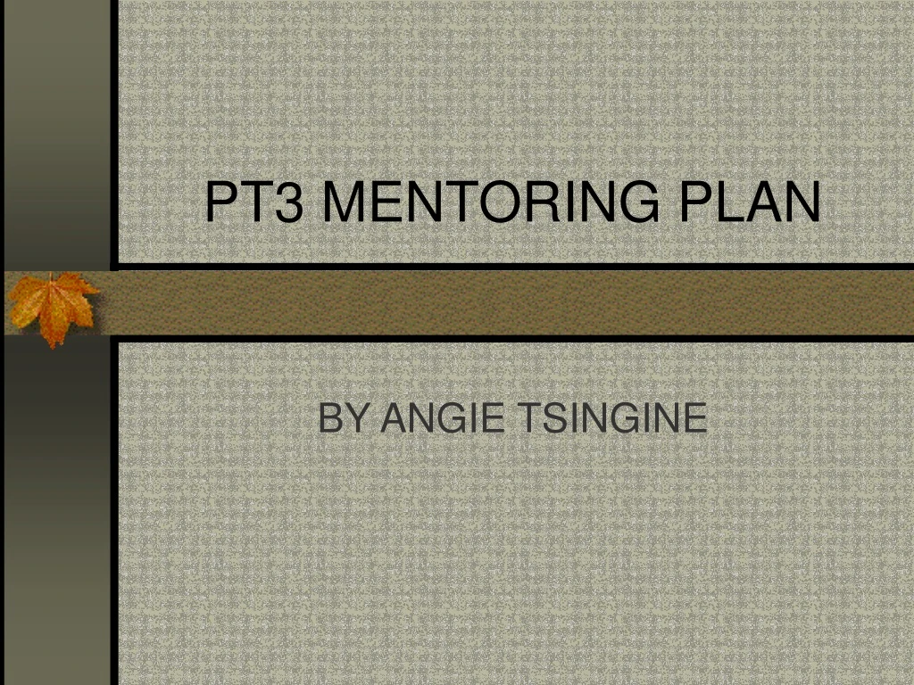 pt3 mentoring plan