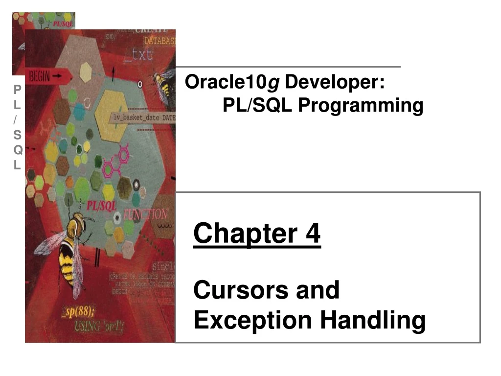 oracle10 g developer pl sql programming