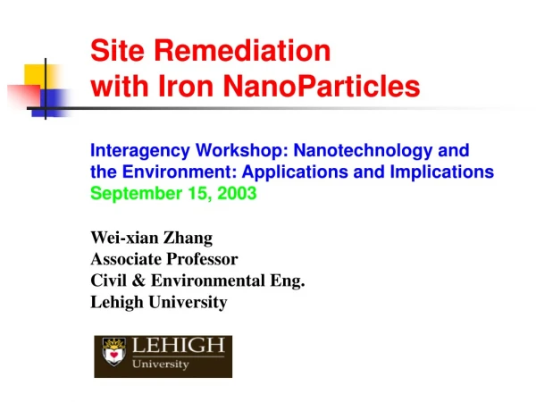 Site Remediation  with Iron NanoParticles