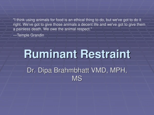 Ruminant Restraint