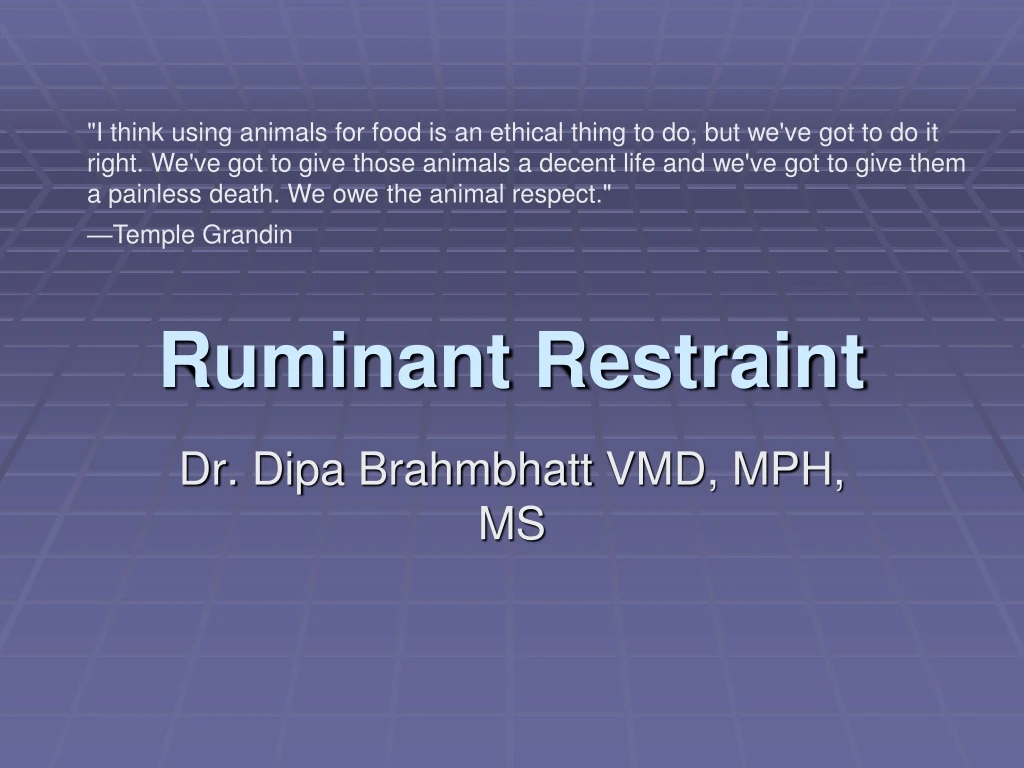 ruminant restraint