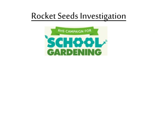 Rocket Seeds Investigation